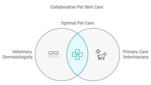 Top Vets Dermatology Services for Your Pet’s Skin