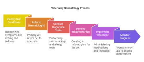 Top Vets Dermatology Services for Your Pet’s Skin