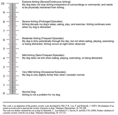 Non-Thymoma Associated Feline Exfoliative Dermatitis