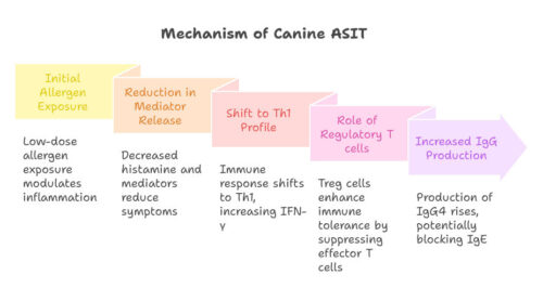 Canine ASIT: A Comprehensive Review of Efficacy and Future Directions