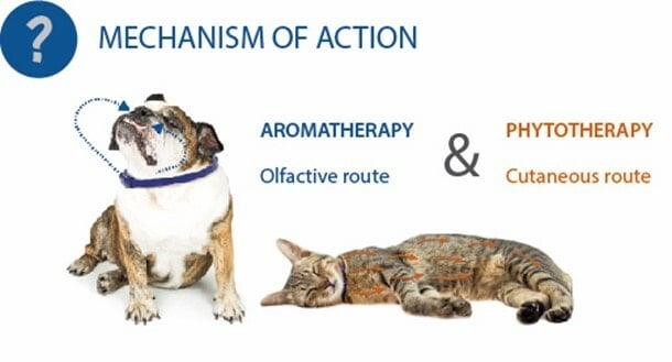 Aromacalm®