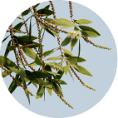 Dermoscent BIO BALM®