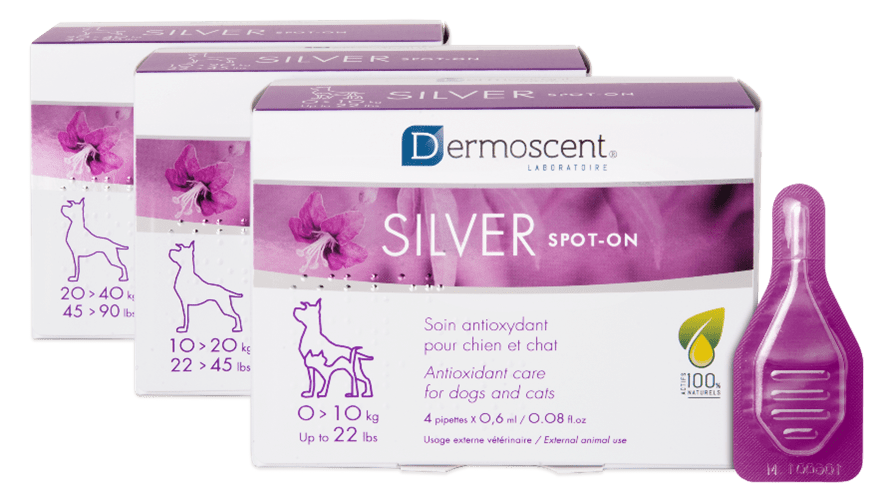 SILVER Spot®