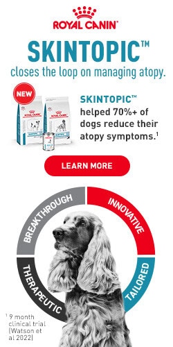 Skintopic Diet Reduces Otitis Recurrence in Atopic Dogs