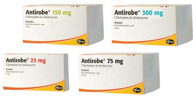 Anti Rube ANTIROBE - DermaVet