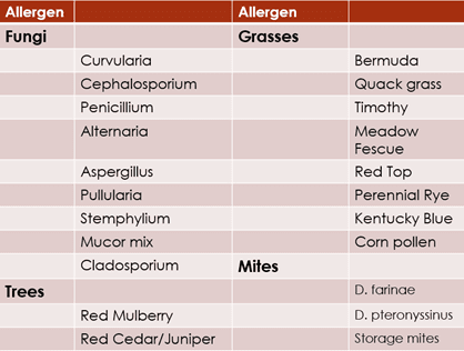 Demodicosis in a Cat
